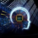 Which company has the best AI model on LiveBench (Coding) end of August?
