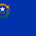 NV-01 House Election Winner