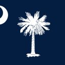 South Carolina Senate Special Republican Primary: First Round Winner